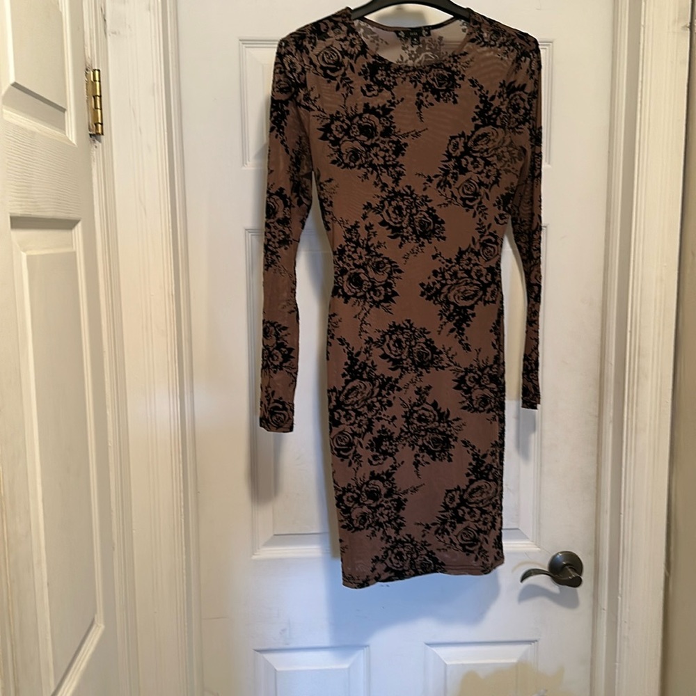 Rose sheer dress